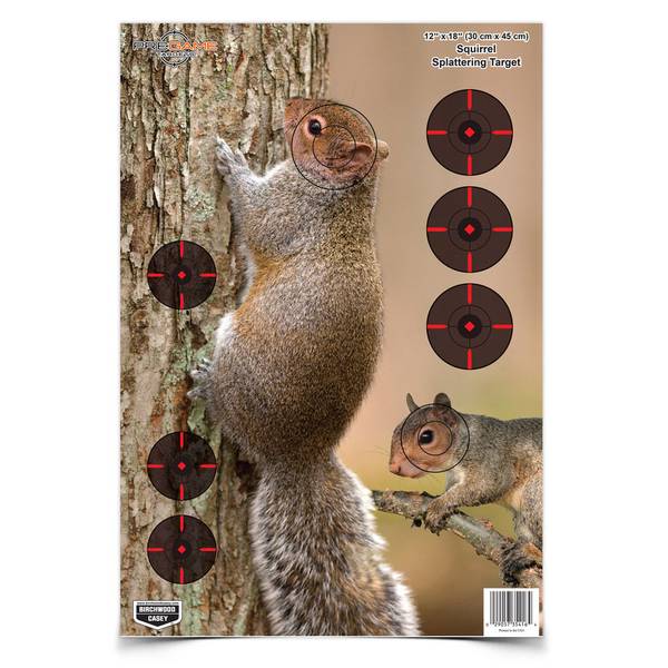 squirrel figurine target