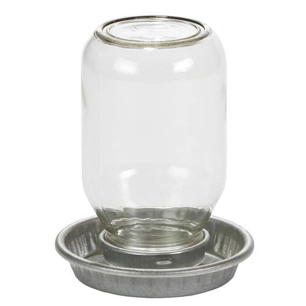 Photo of Mason Jar Baby Chick Waterer
