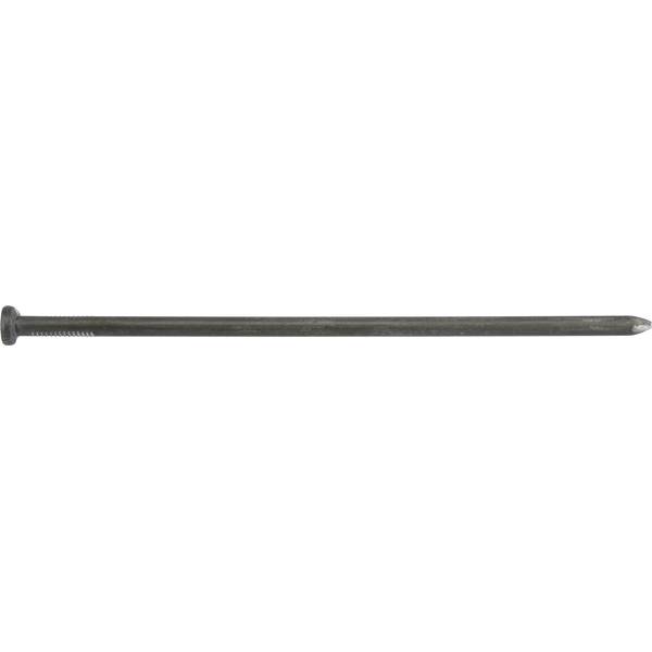Photo of Spike Nail