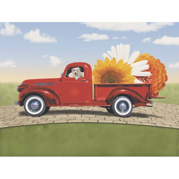 Photo of Qubes Greeting Card