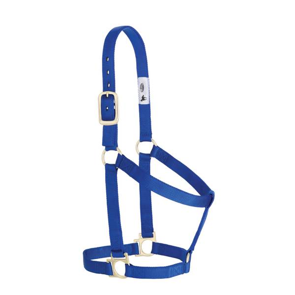 Photo of Basic Non-Adjustable Halter, 1"