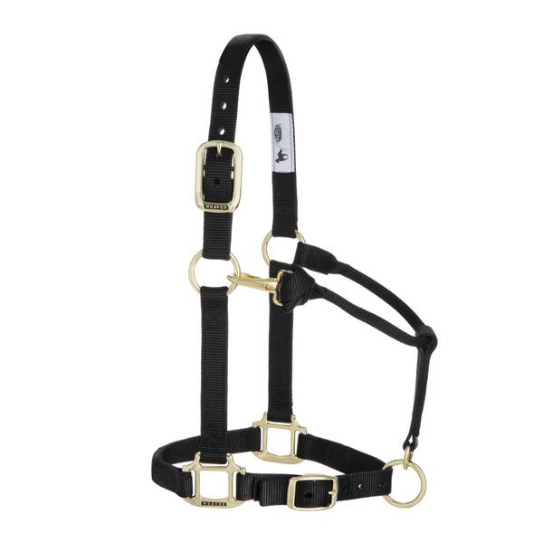 Photo of Original Adjustable Chin and Throat Snap Halter, 1", Large Horse