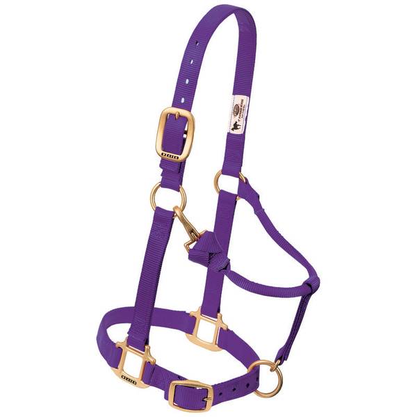 Weaver Leather Original Adjustable Chin & Throat Snap Halter - Large Horse or 2-Year-Old Draft