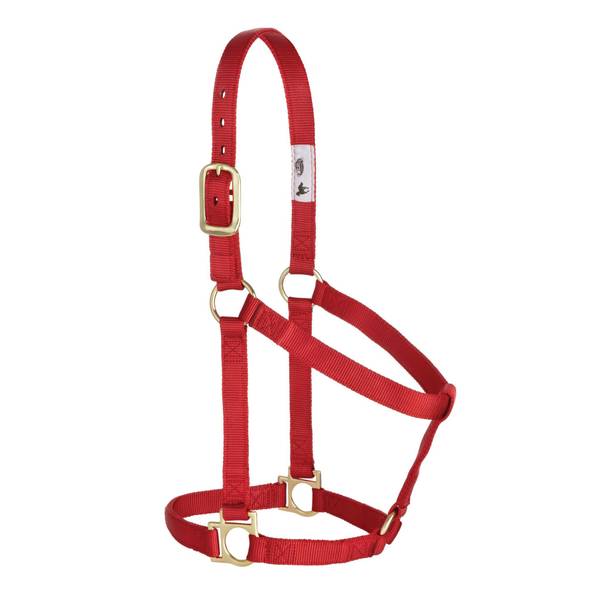 Photo of Basic Non-Adjustable Halter, 1"