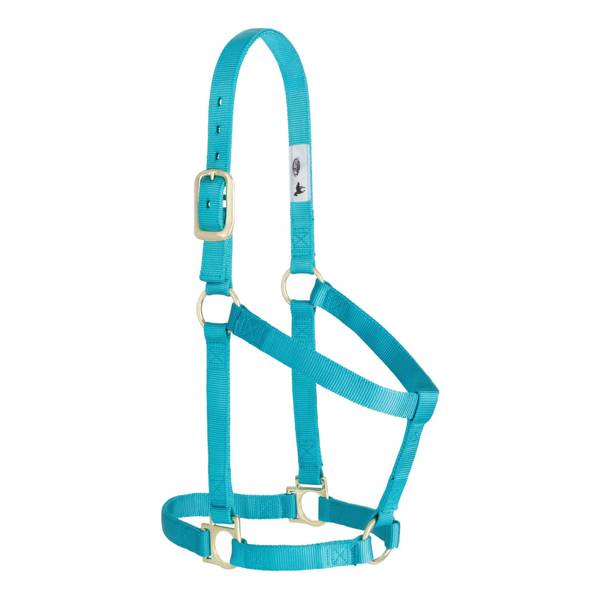 Photo of Basic Non-Adjustable Halter, 1"