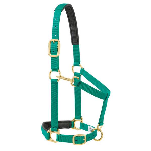 Weaver Leather Padded Adjustable Chin & Throast Snap Halter - Average Horse or Yearling Draft