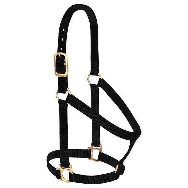 Weaver Leather Basic Non-Adjustable Halter - Small Horse or Weanling Draft