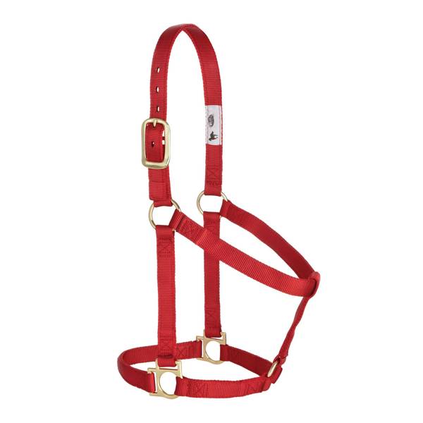 Photo of Basic Non-Adjustable Halter, 1"