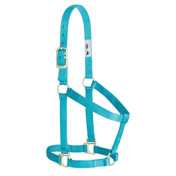 Photo of Basic Non-Adjustable Halter, 1"