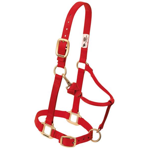Photo of Original Adjustable Chin & Throat Snap Halter - Weanling