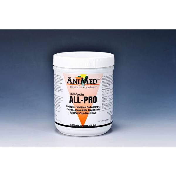 Photo of Multi-Species All-Pro