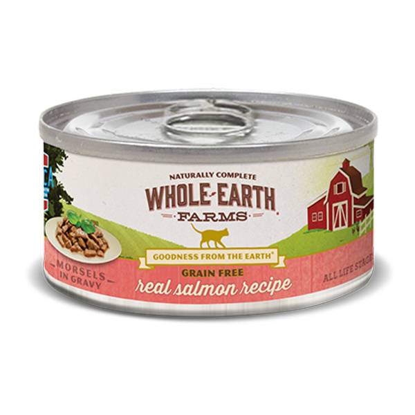 homemade cat food gravy